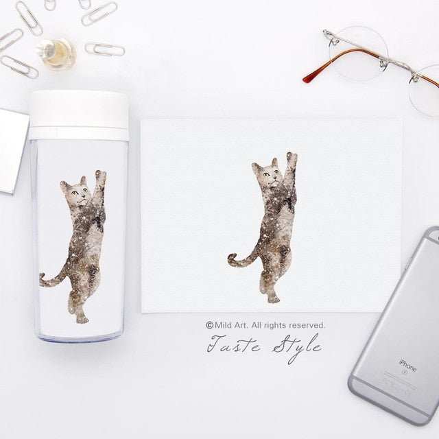 Kawaii Funny Yoga Pet Cat Bottles - yogaflaunt