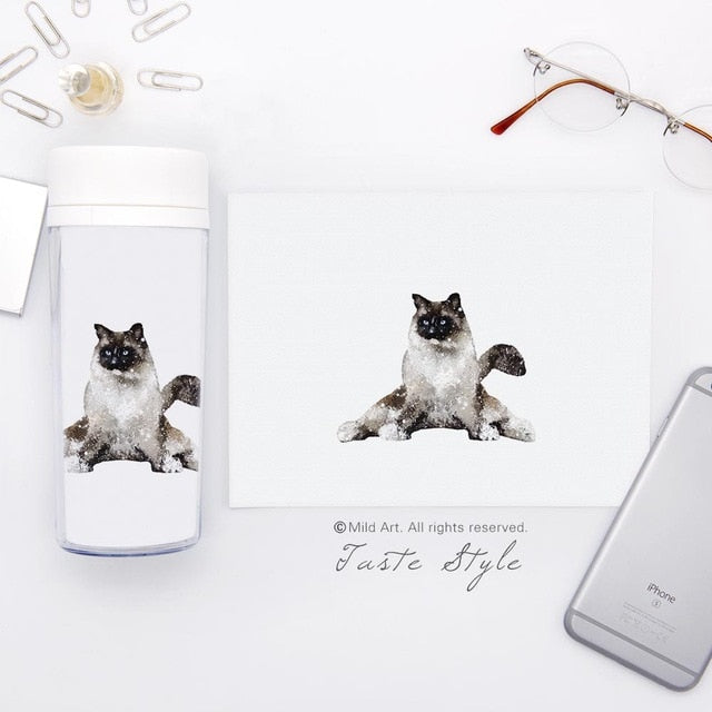 Kawaii Funny Yoga Pet Cat Bottles - yogaflaunt