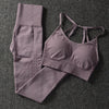 Gym 2 Piece Set Workout Clothes - yogaflaunt